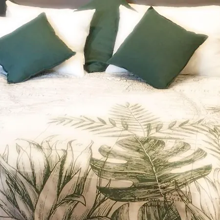 Oda ve Kahvaltı Morris Bari