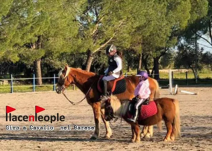 Bed & Breakfast Morris 4*